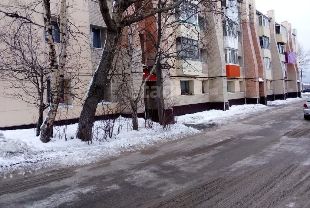 квартира г Петропавловск-Камчатский ул Давыдова 11 фото 22