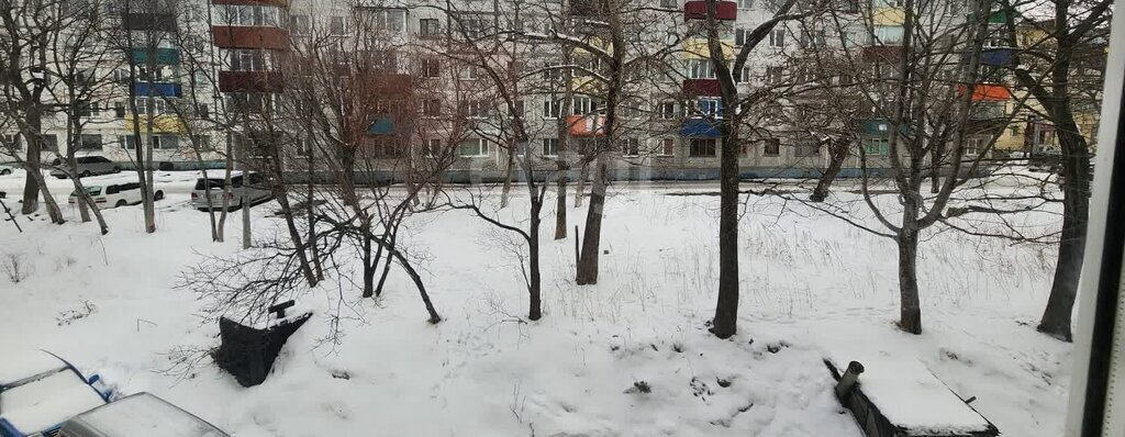 квартира г Петропавловск-Камчатский ул Пограничная 24 фото 16