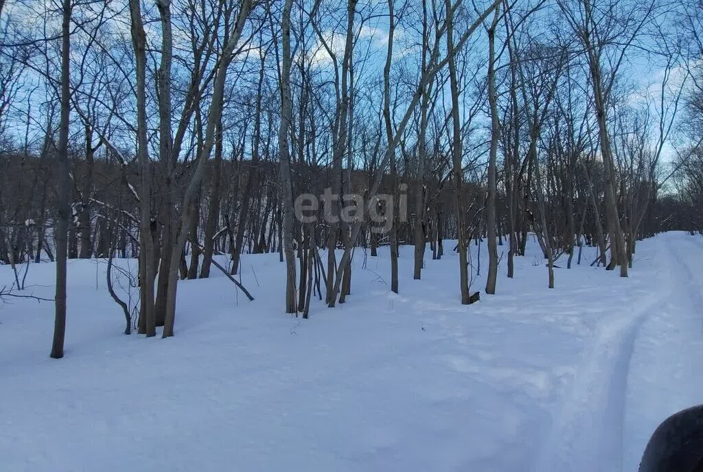 земля г Петропавловск-Камчатский Кирпичики фото 7