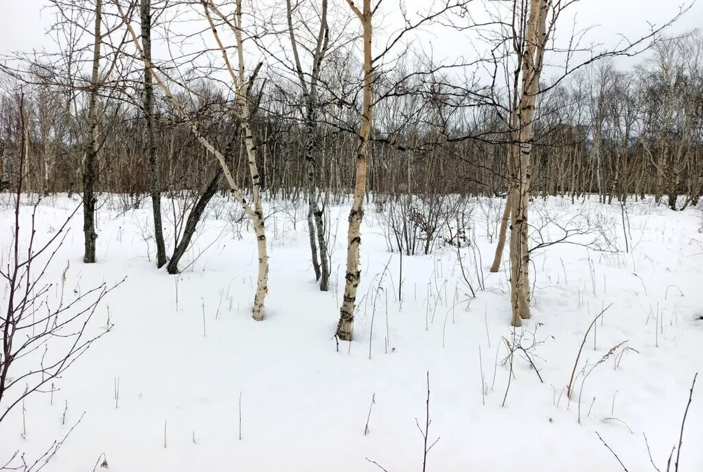 земля г Петропавловск-Камчатский Чапаевка фото 2