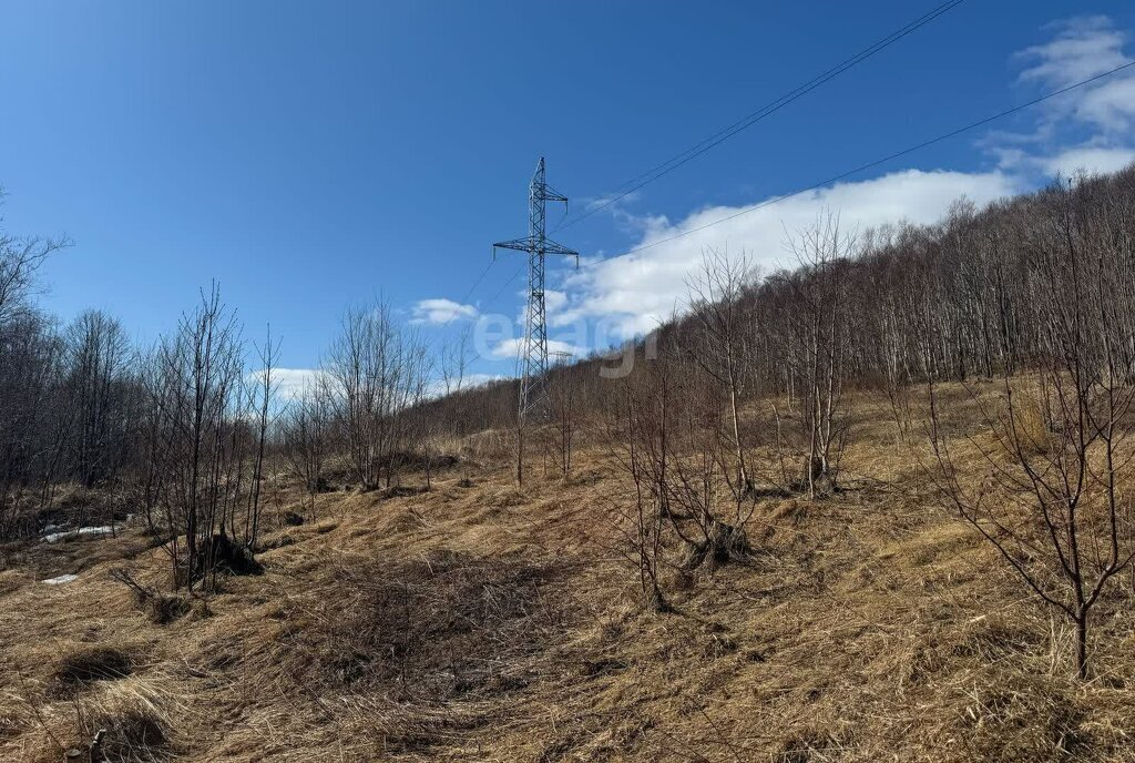 земля г Петропавловск-Камчатский Кирпичики фото 3