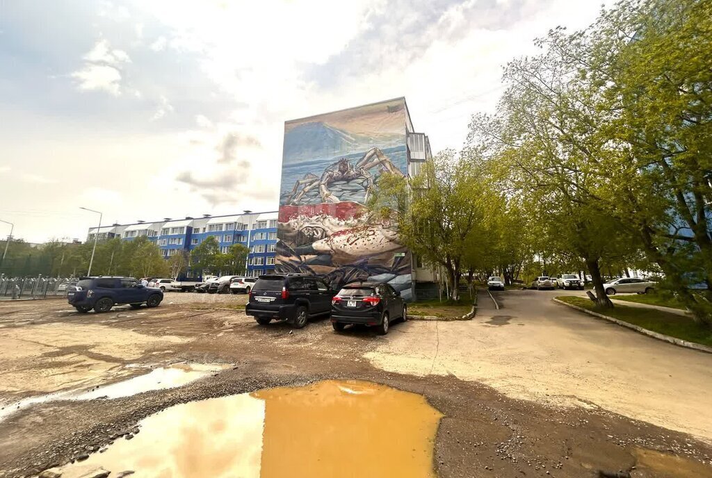 квартира г Петропавловск-Камчатский ул Виталия Кручины 3/1 фото 26
