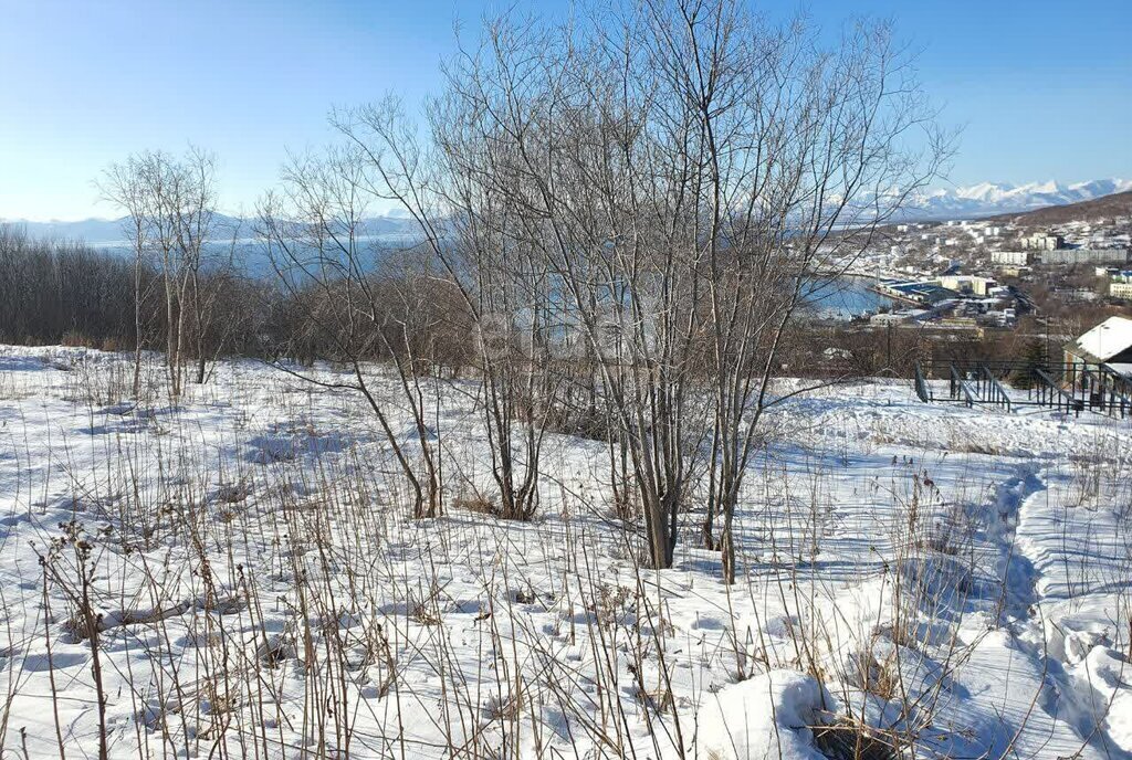 земля г Петропавловск-Камчатский Сероглазка фото 21