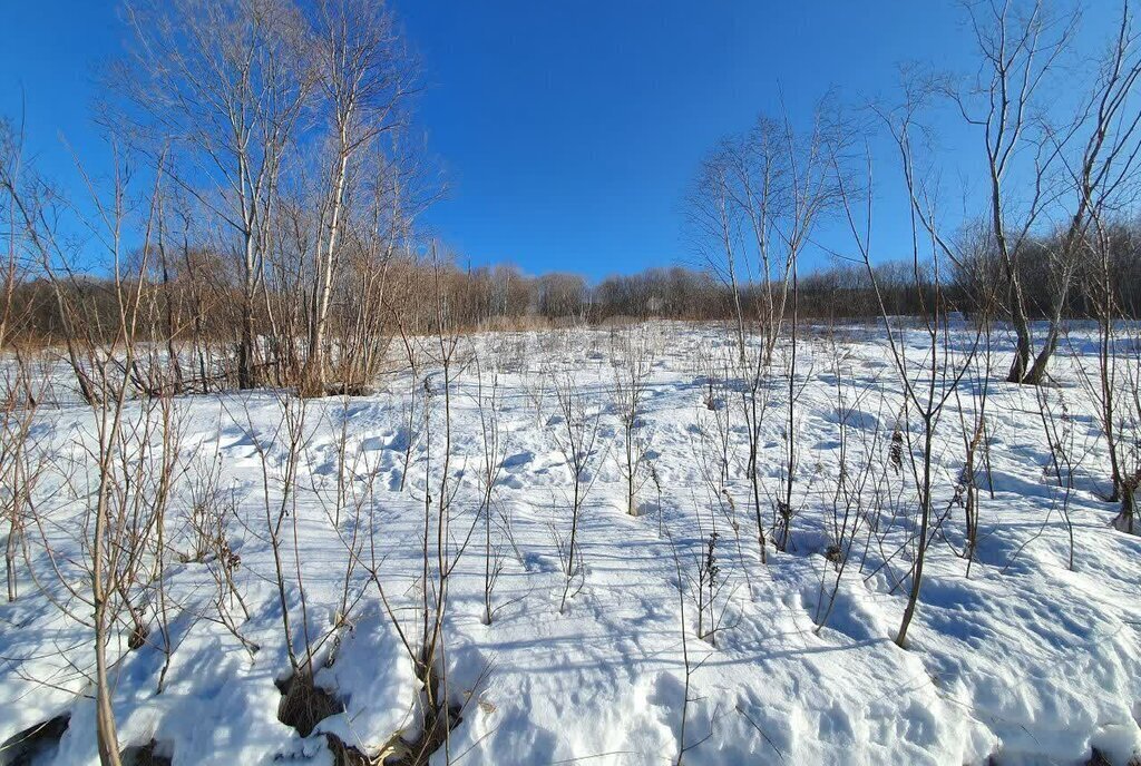 земля г Петропавловск-Камчатский Сероглазка фото 26