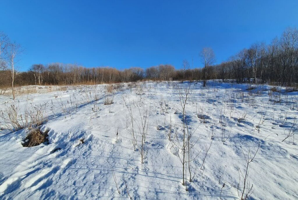 земля г Петропавловск-Камчатский Сероглазка фото 28