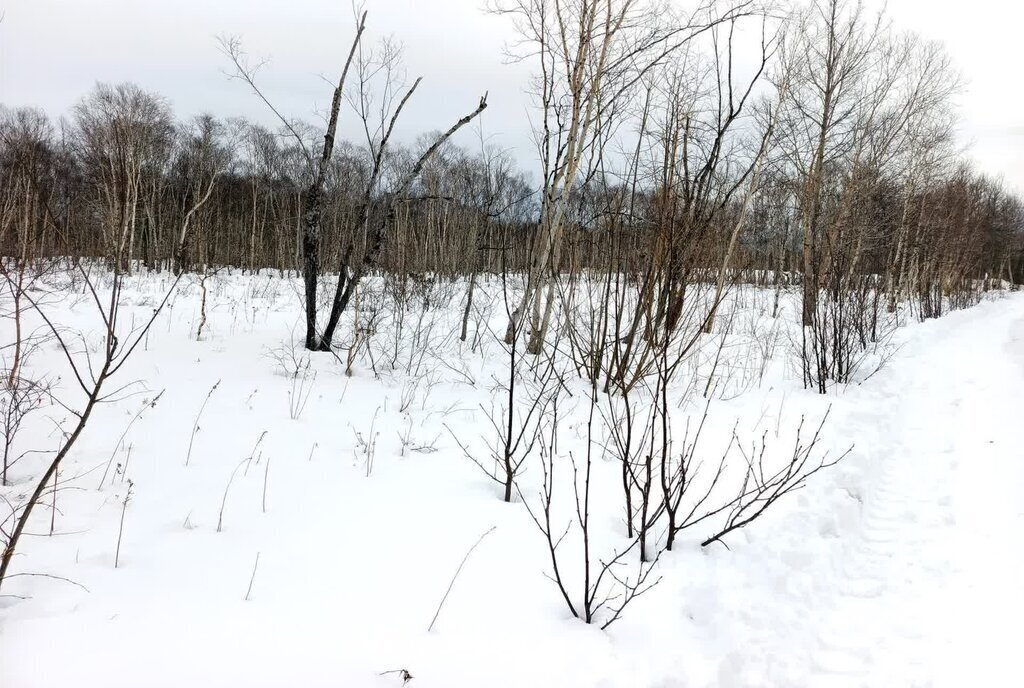 земля г Петропавловск-Камчатский Чапаевка фото 8
