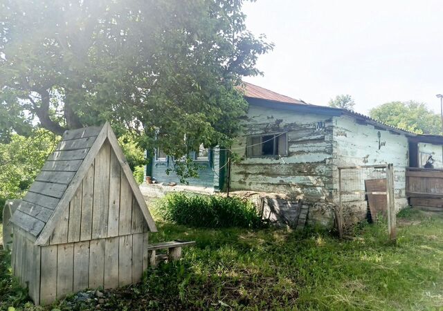 с Семилей ул Центральная 70 Кочкурово фото