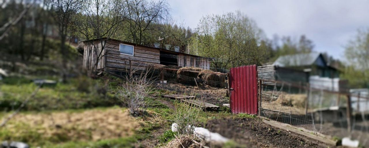 дом г Златоуст ул им Б.М.Шапошникова 40 фото 10