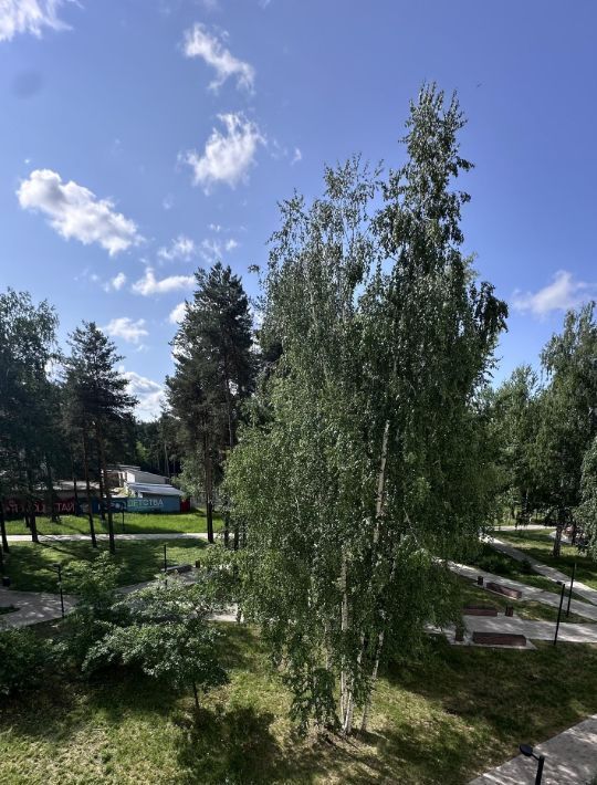 квартира г Краснокамск ул Орджоникидзе 2 фото 20