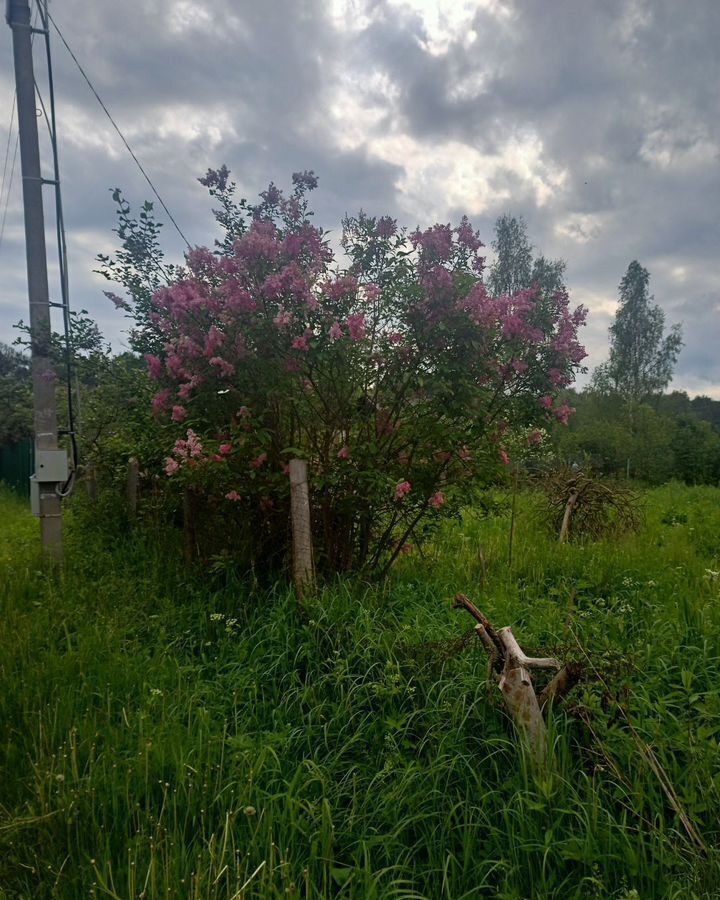 земля городской округ Клин г Высоковск 69 км, 214, г. о. Клин, садовое товарищество Ольховка, Ленинградское шоссе фото 4