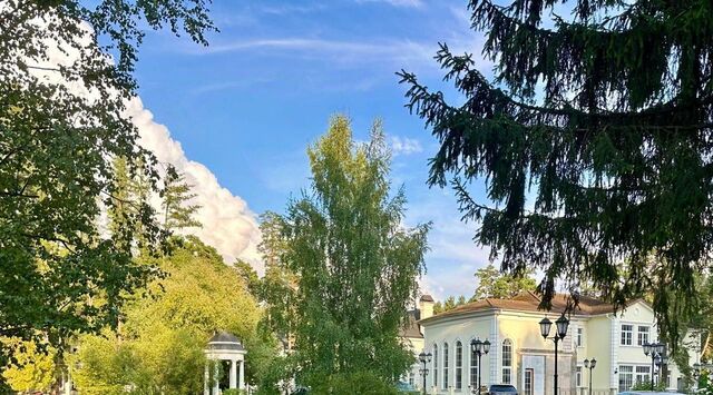Лебединое Озеро ТСН, Одинцово фото