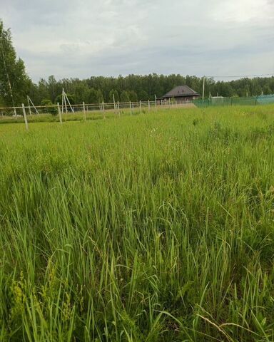 земля 87 км, дачное некоммерческое партнёрство Посёлок Озёрный, Озёры, Каширское шоссе фото