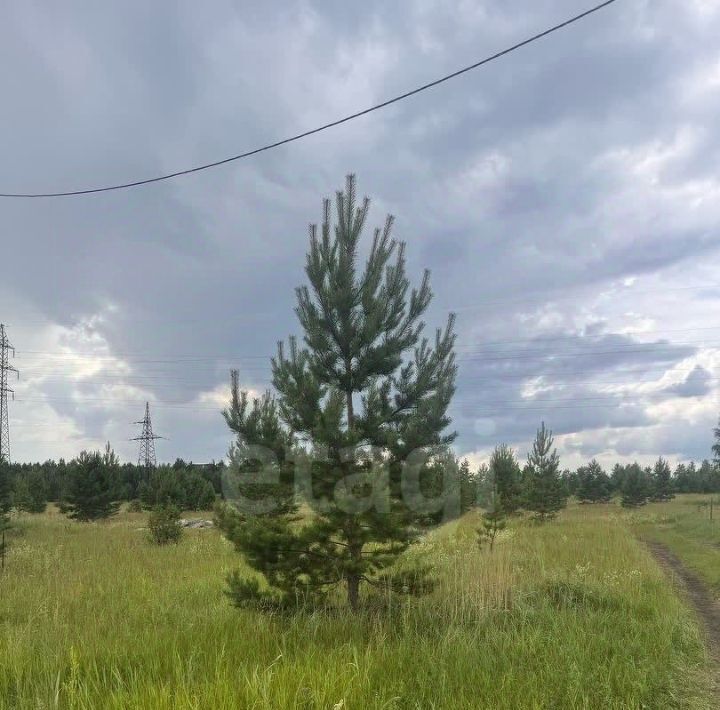 земля г Шадринск ул Носилова 1 фото 2