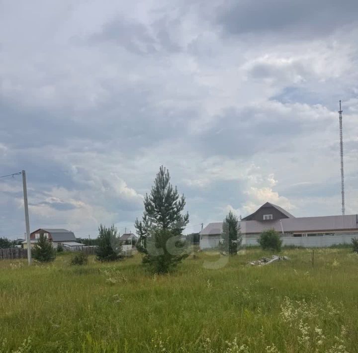 земля г Шадринск ул Носилова 1 фото 8