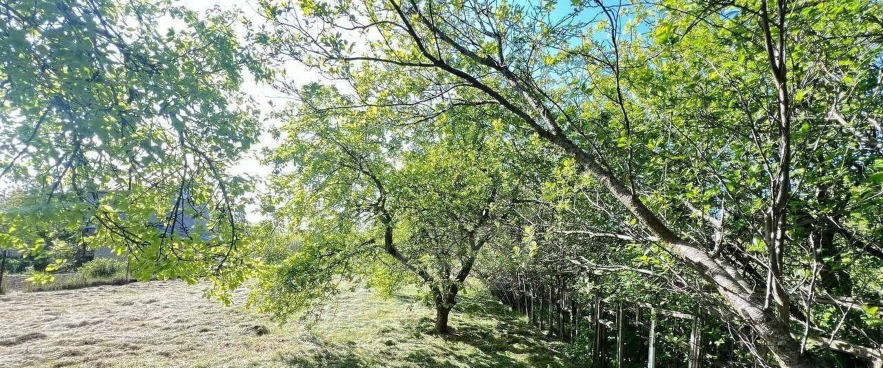 земля г Калининград р-н Ленинградский Дружба-Девау СТ, ул. Надежды, 123 фото 5