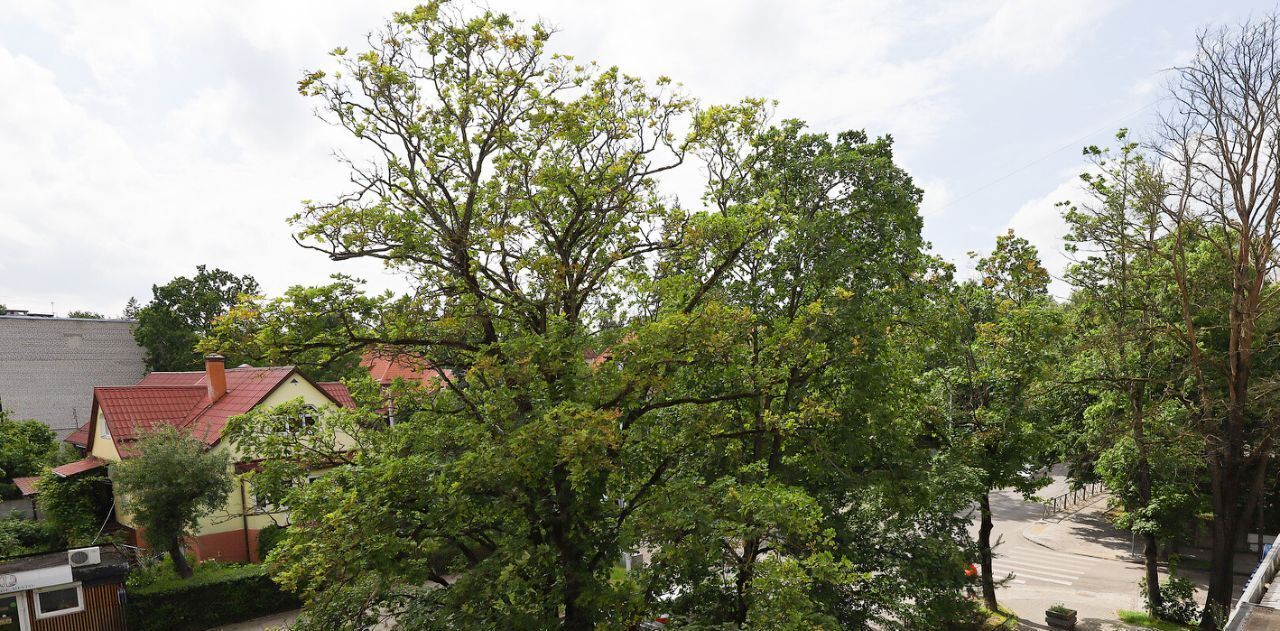 квартира г Калининград р-н Ленинградский ул Некрасова 22 фото 16