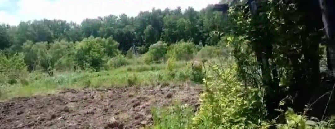 земля г Хабаровск р-н Краснофлотский 205, Урожай садовое товарищество фото 4