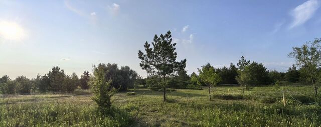 земля ул Каштановая 36 сельское поселение Рамено, Сызрань фото