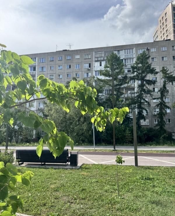 квартира г Омск р-н Центральный ул Чехова 3 фото 26