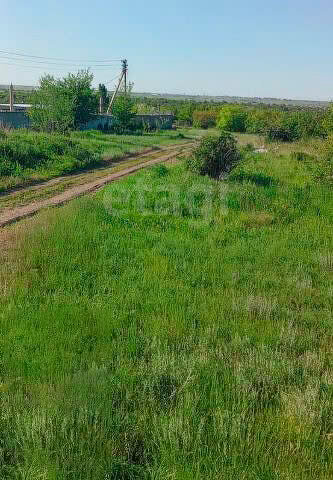 земля п Елшанка фото