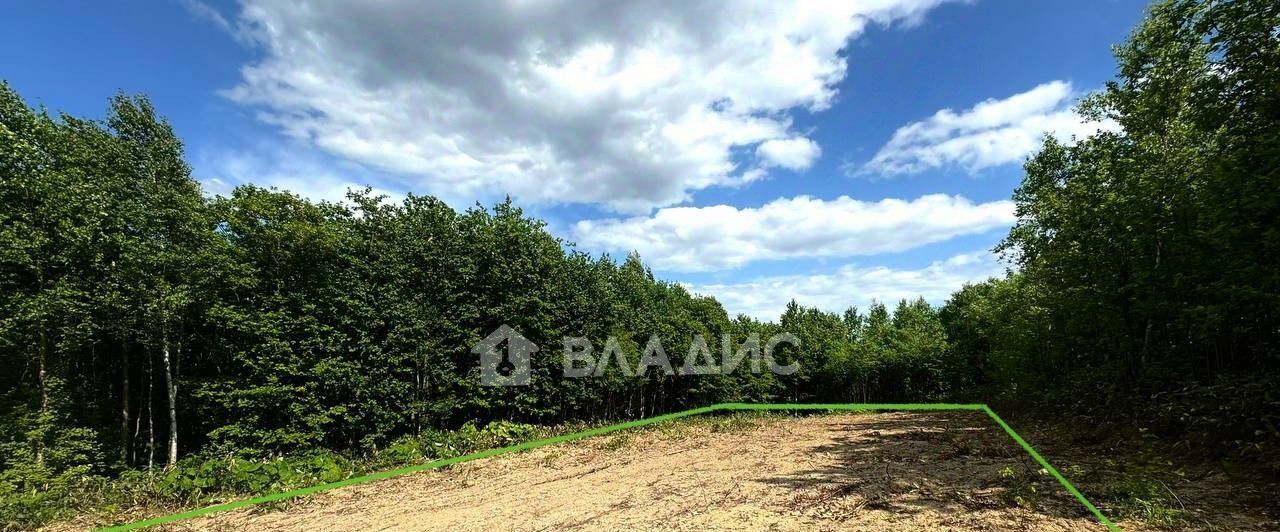 земля г Южно-Сахалинск снт тер.Сахалинец 140 фото 1