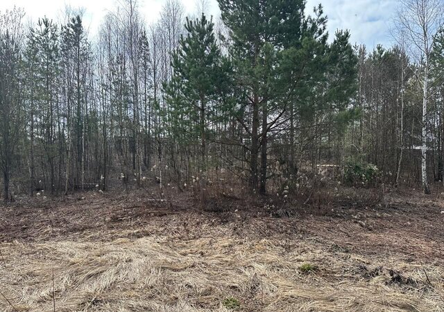 снт Трудовик муниципальное образование Зеленодольск фото