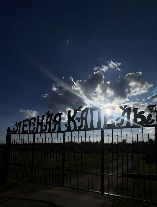земля г Сергиев Посад дп тер. ТСНЛесная капель ул Центральная Сергиево-Посадский городской округ фото 19