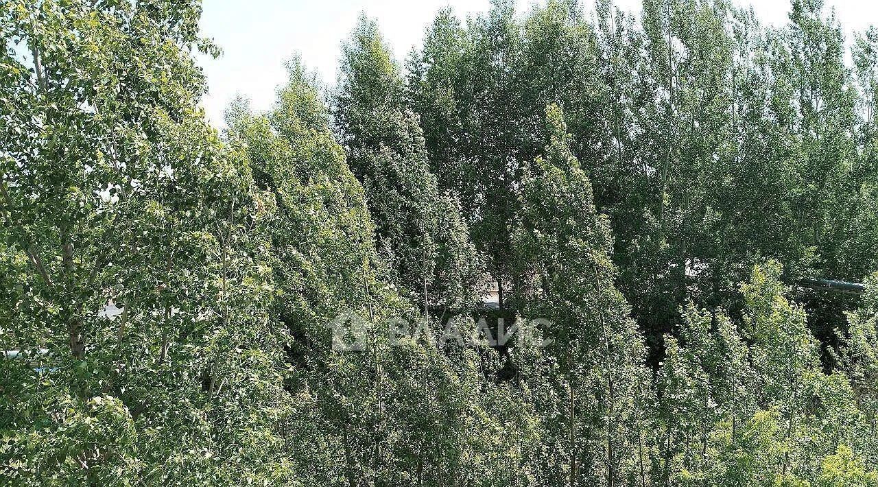 квартира г Пенза р-н Железнодорожный ул Долгорукова 100 фото 9