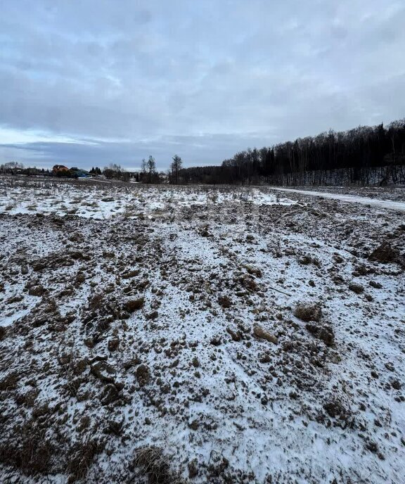 земля г Подольск д Пузиково фото 1