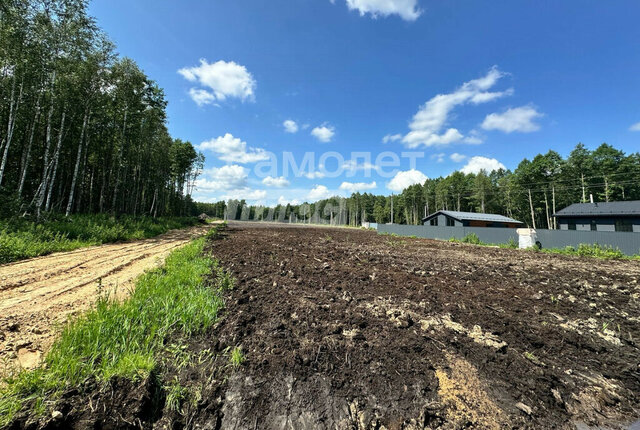 снт Экология-2 Наро-Фоминский городской округ фото