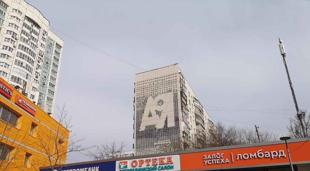 квартира г Москва метро Беляево ул Миклухо-Маклая 43 фото 48