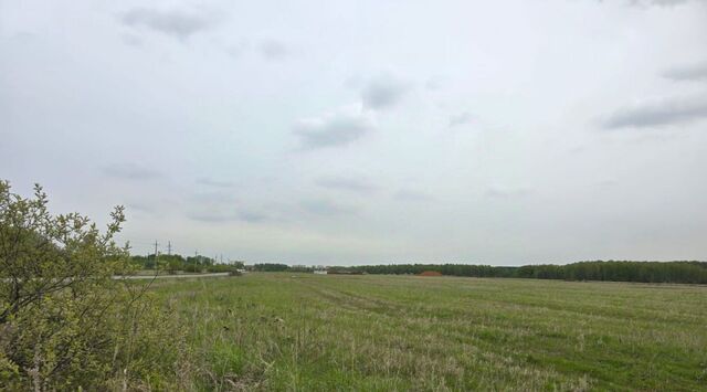Подольск, 398, Подольск городской округ, Василек СНТ фото