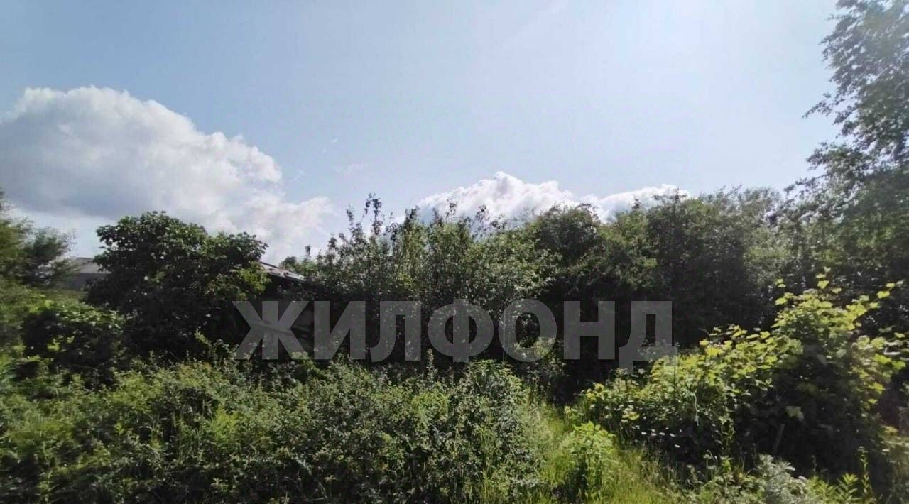 земля г Брянск п Большое Полпино р-н Володарский Буревестник-2 СНТ фото 14