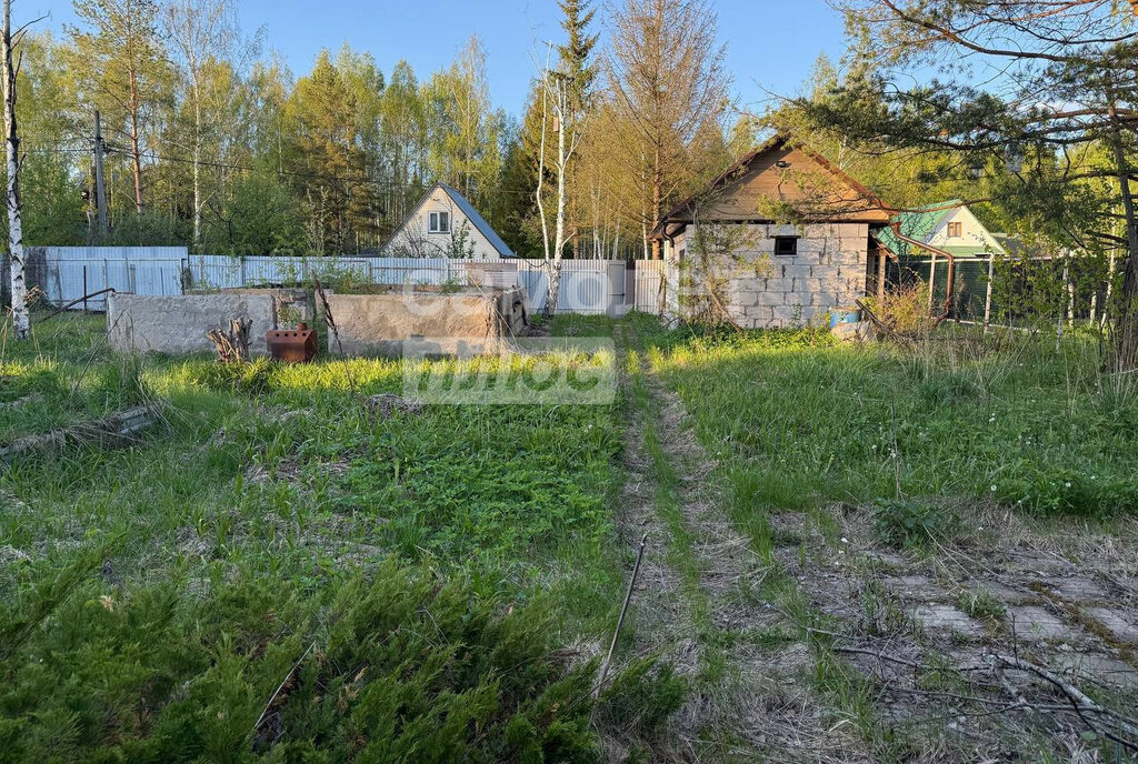 земля г Воскресенск снт Экспресс Дмитровский муниципальный округ фото 13