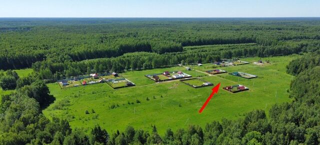 земля п Головино муниципальное образование Головинское, дп. Медовая поляна фото