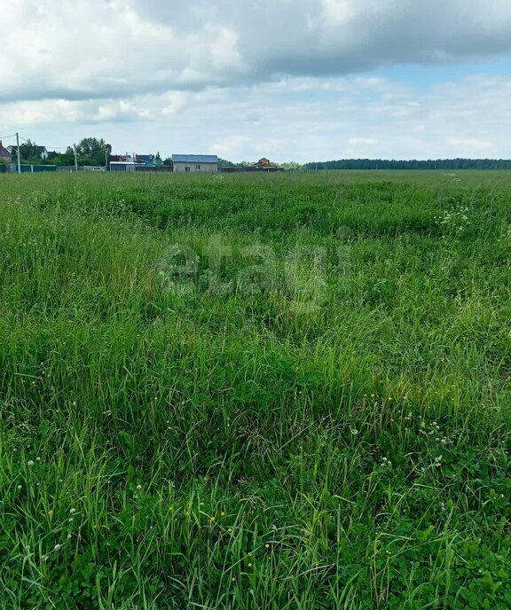 земля г Чехов территория Молоди СХ 3, Силикатная фото 8