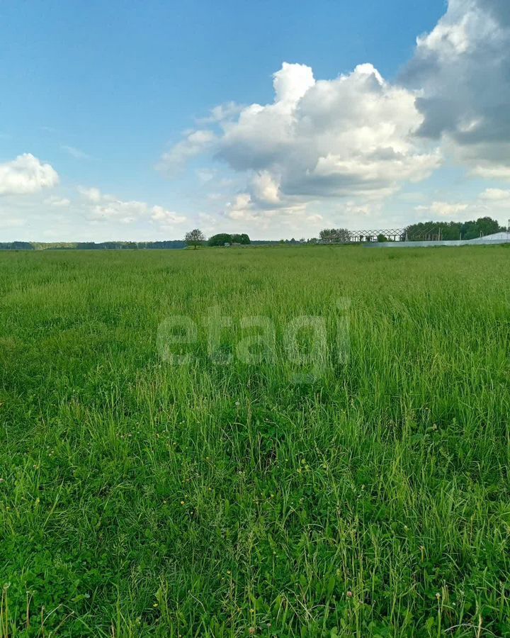 земля г Подольск ш Старое Симферопольское 33 км, территория Молоди СХ 3, муниципальный округ Чехов фото 1