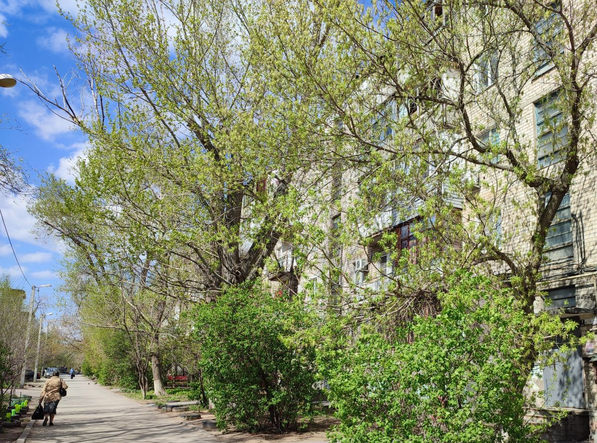 квартира г Волжский 39-й квартал ул Молодежная 8 2-й м-н фото 20