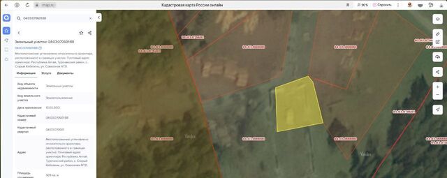 с Старый Кебезень фото