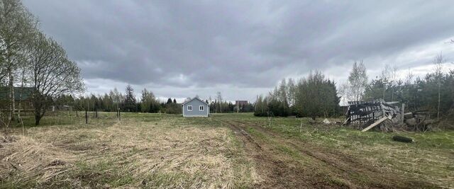 нп Ядроминское п Хуторки фото