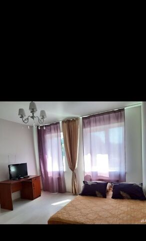 квартира р-н Центральный ул Сержанта Мишина 68а фото