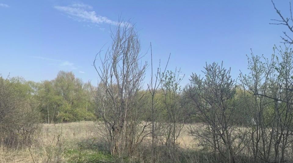 земля г Кашира д Кишкино фото 1