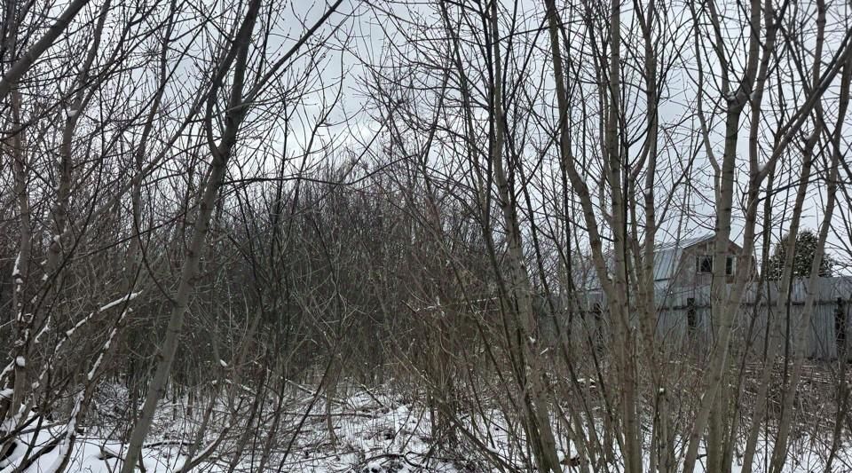 земля г Кашира ул Моргунова фото 2