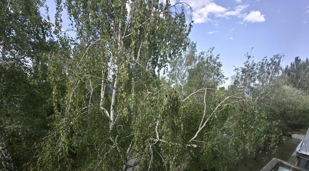 квартира г Саратов р-н Кировский ул им Осипова В.И. 10 фото 18