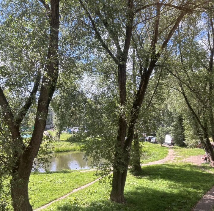 квартира г Солнечногорск Рекинцо 25 фото 24