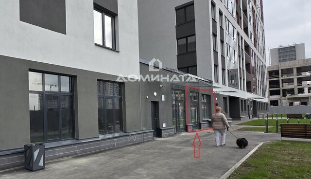 метро Парнас ул Михайловская 6 дорога фото