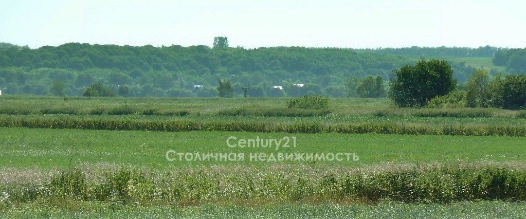 земля г Раменское ул Дальняя Ипподром фото 10