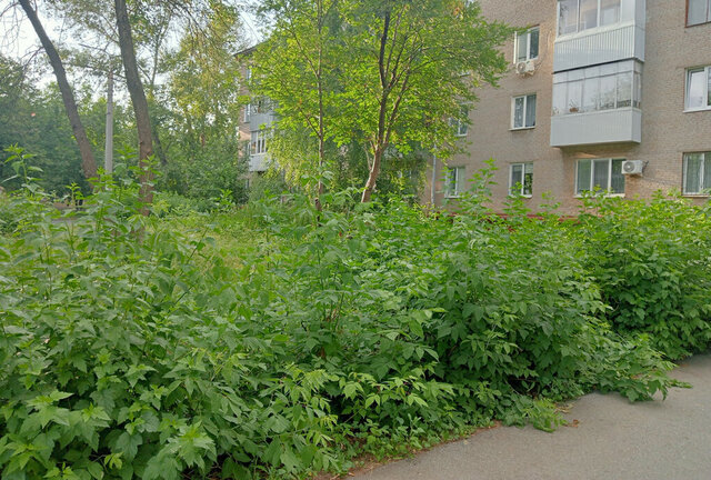 ул Кольцевая 133 фото