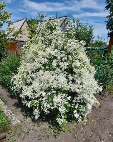 дом ул Рабочая 2 фото