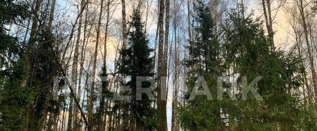 метро Нахабино ул Западная Лесные Зори кп, Московская область, Истра муниципальный округ фото